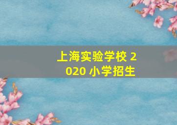 上海实验学校 2020 小学招生